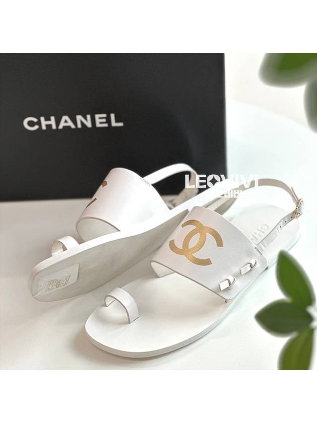 Chanel Handbag - Lynora Bags
