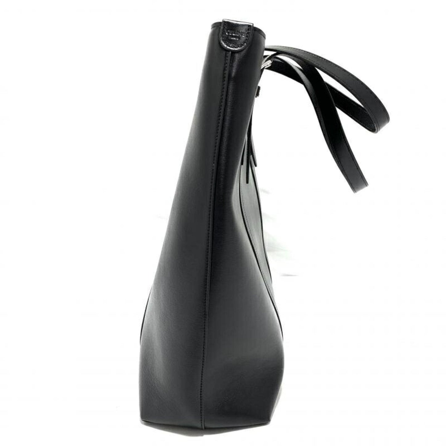 Luxury CELINE Triomphe Tote