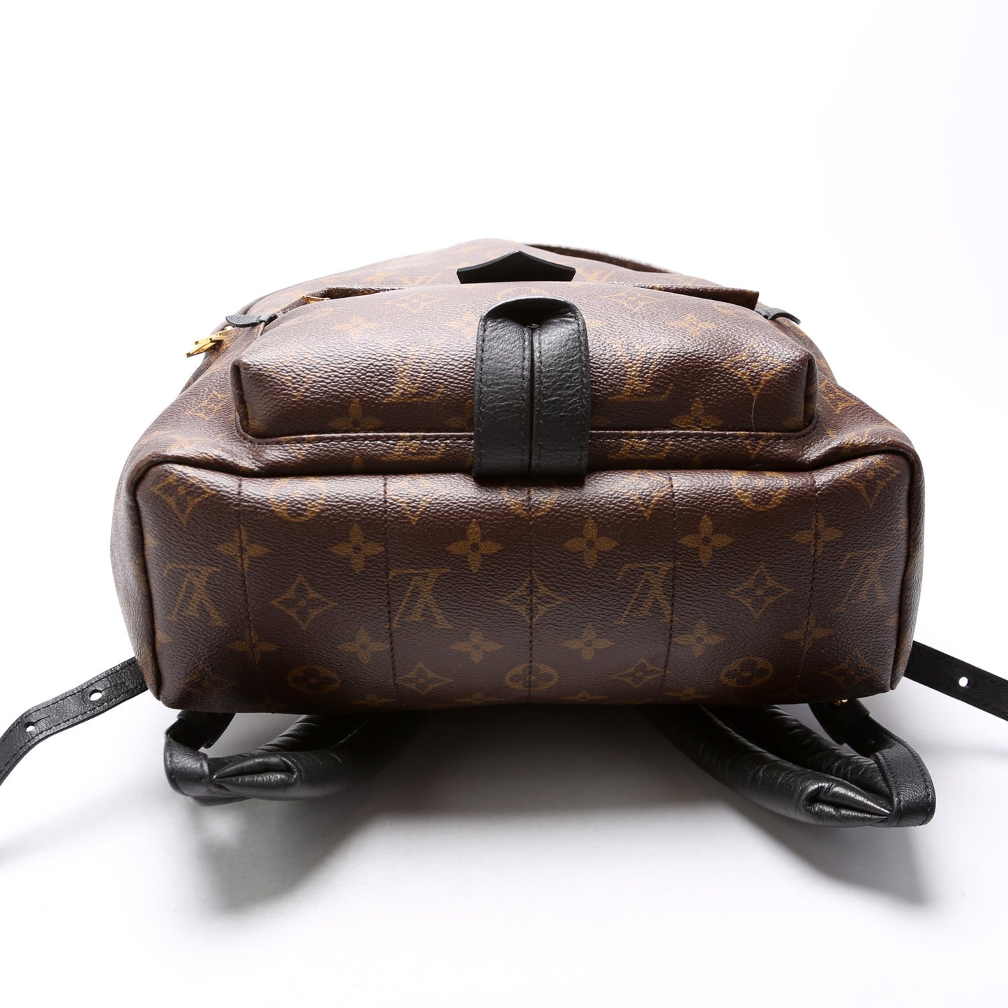 Louis Vuitton Palm Springs Backpack MM Monogram