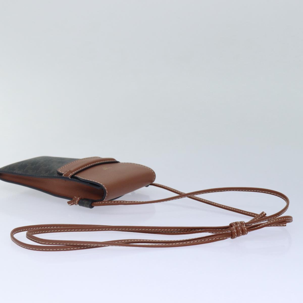 Luxury CELINE Triomphe Clutch Bag
