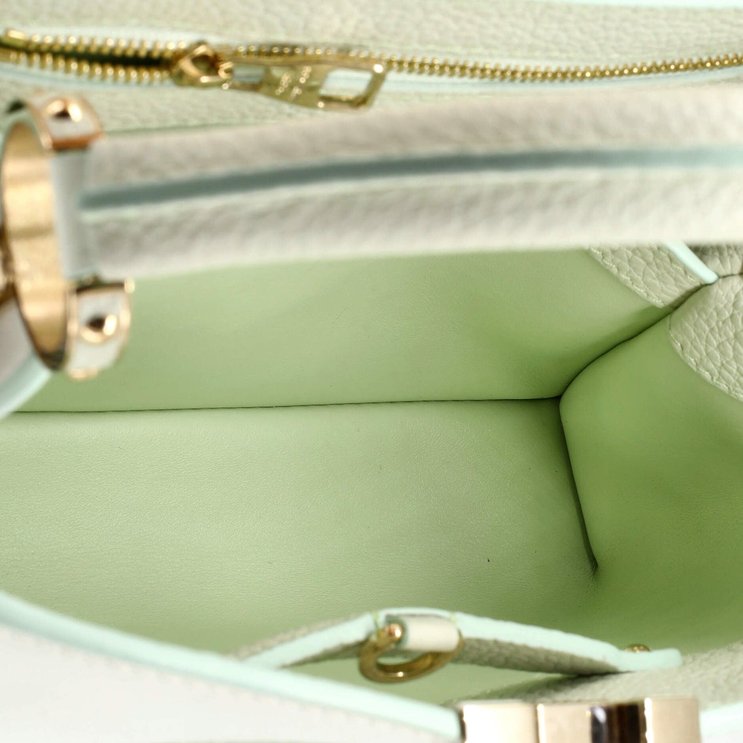 Louis Vuitton Capucines Bag Monogram Giant Flower Leather BB