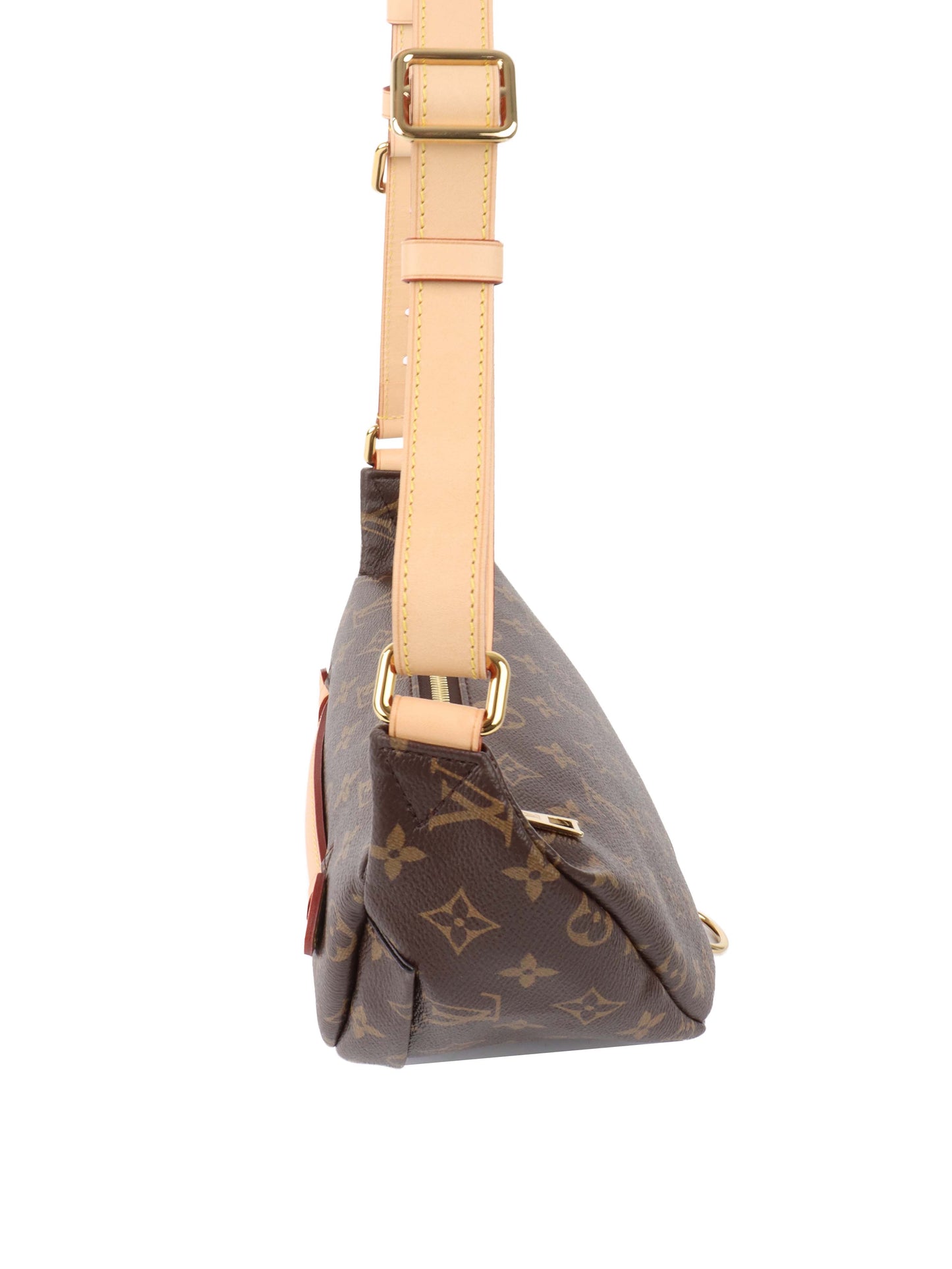 Louis Vuitton Monogram BumBag