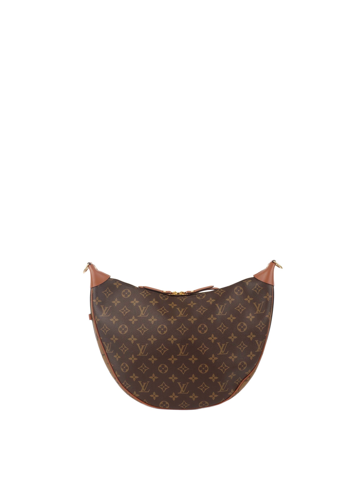 Louis Vuitton Monogram Loop Hobo Bag