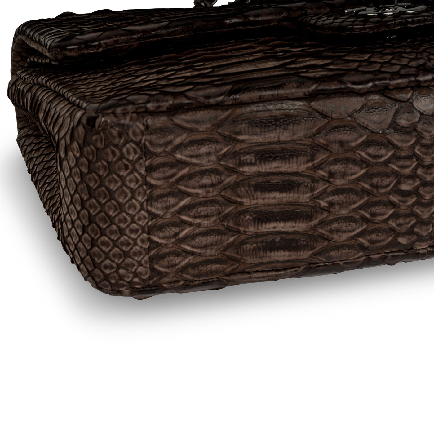 Chanel Classic Flap Bag - Python