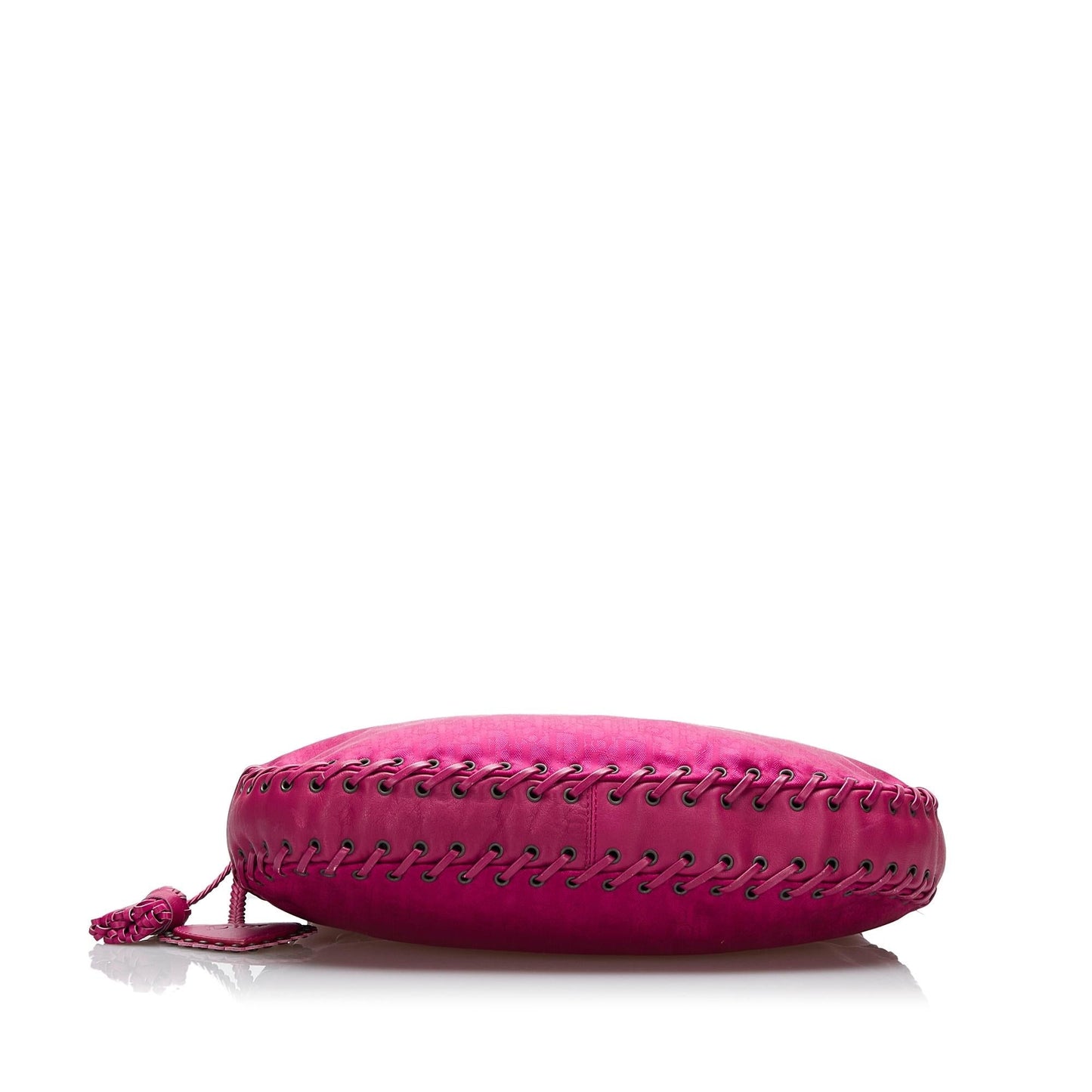 Dior Oblique Hobo (SHG-JegNEL)