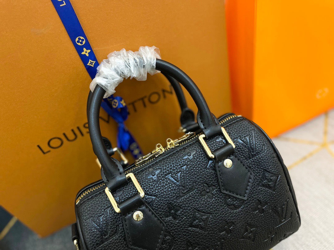 Louis Vuitton Mini Handbag