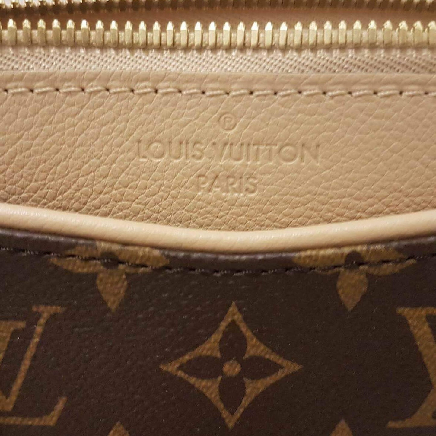Louis Vuitton | Canvas Monogram Pallas Dune | MM Crossbody