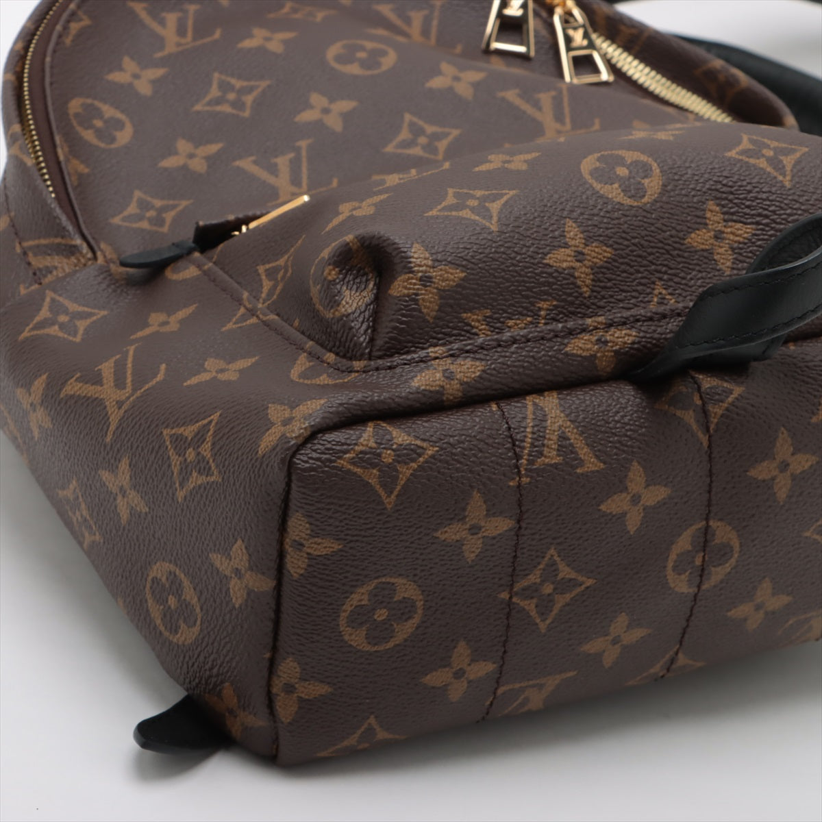 Louis Vuitton Monogram Palm Springs Backpack PM M41560