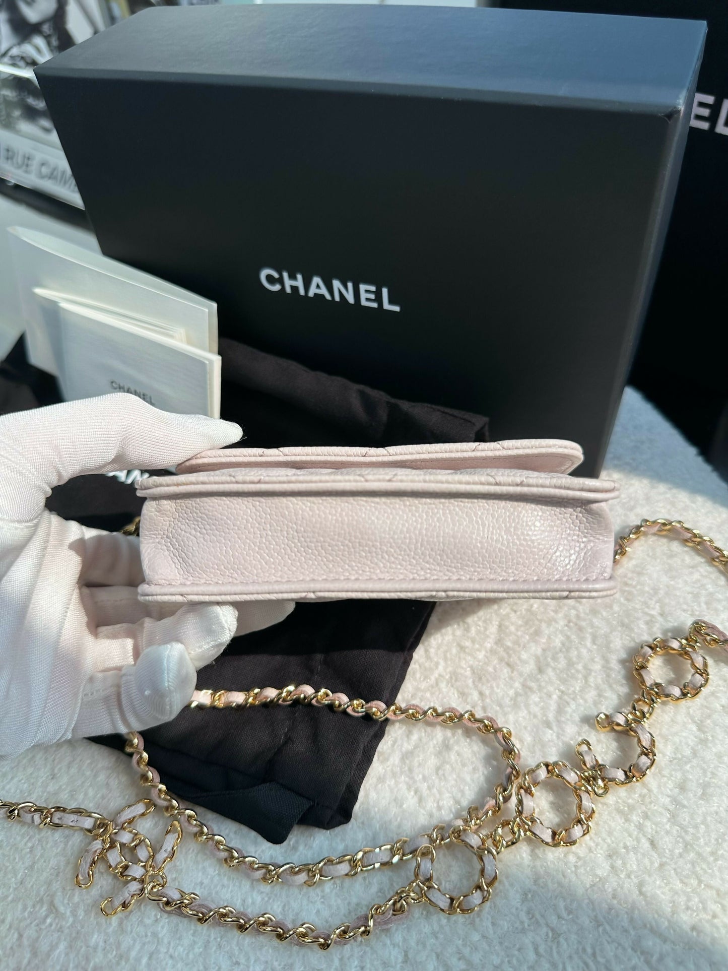 Chanel(21)Small Leather Coco Chain Bag