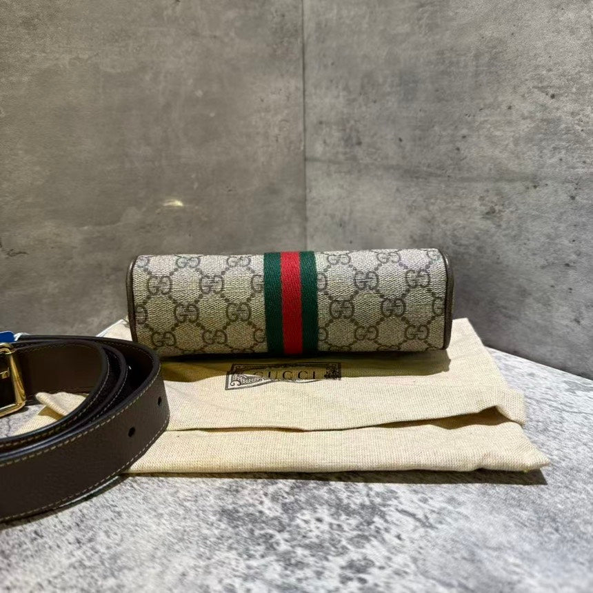 Gucci bumbag monogram