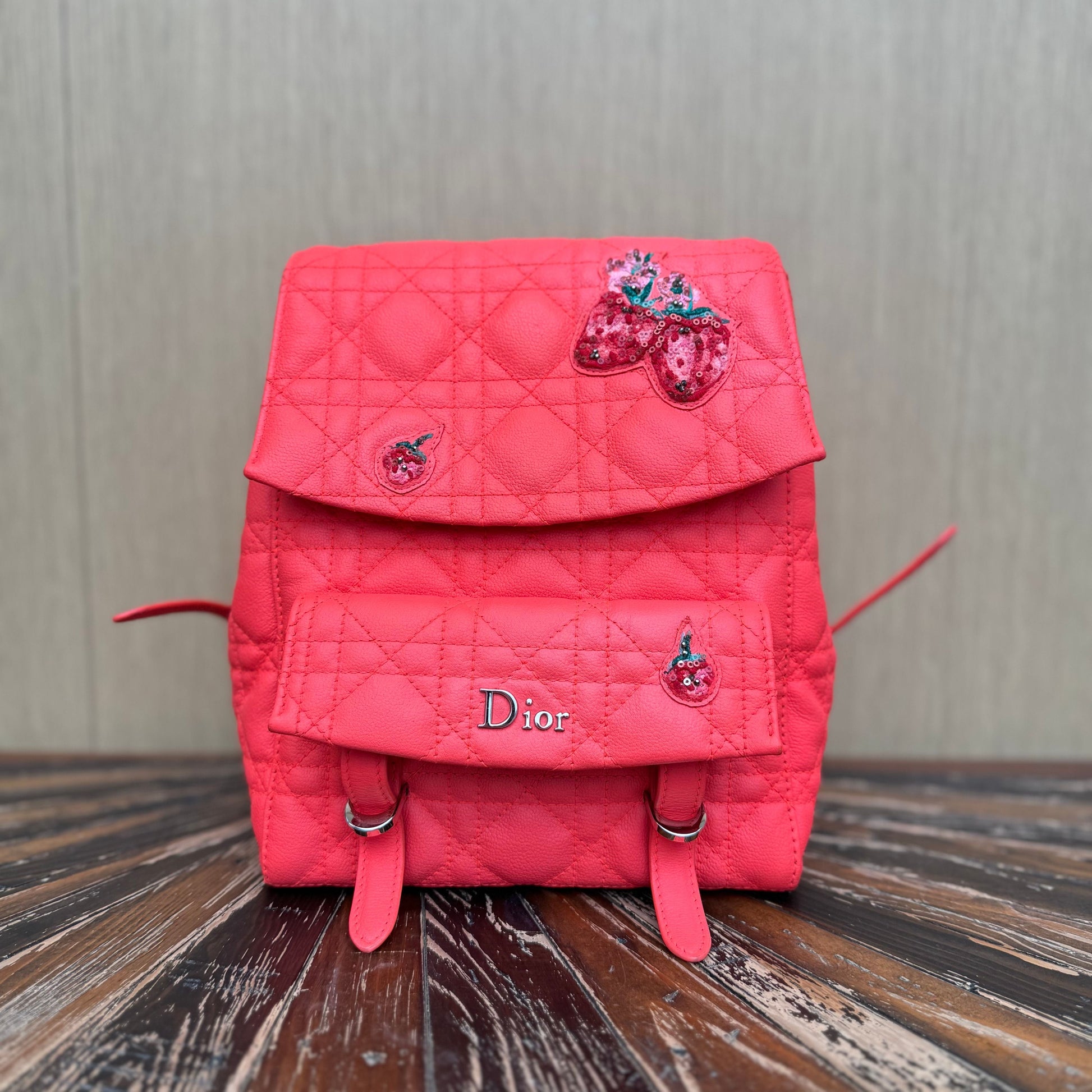 Diortravel leather backpack Dior Red in Leather 3293