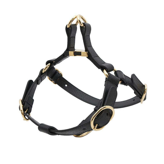 GUCCI ?Pet harness Black692963 Leather Size S