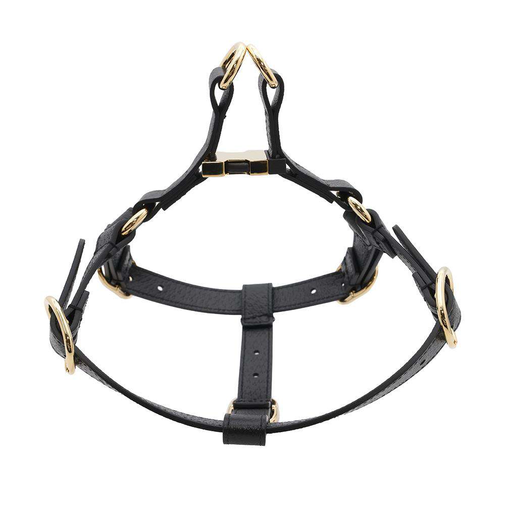 GUCCI ?Pet harness Black692963 Leather Size S