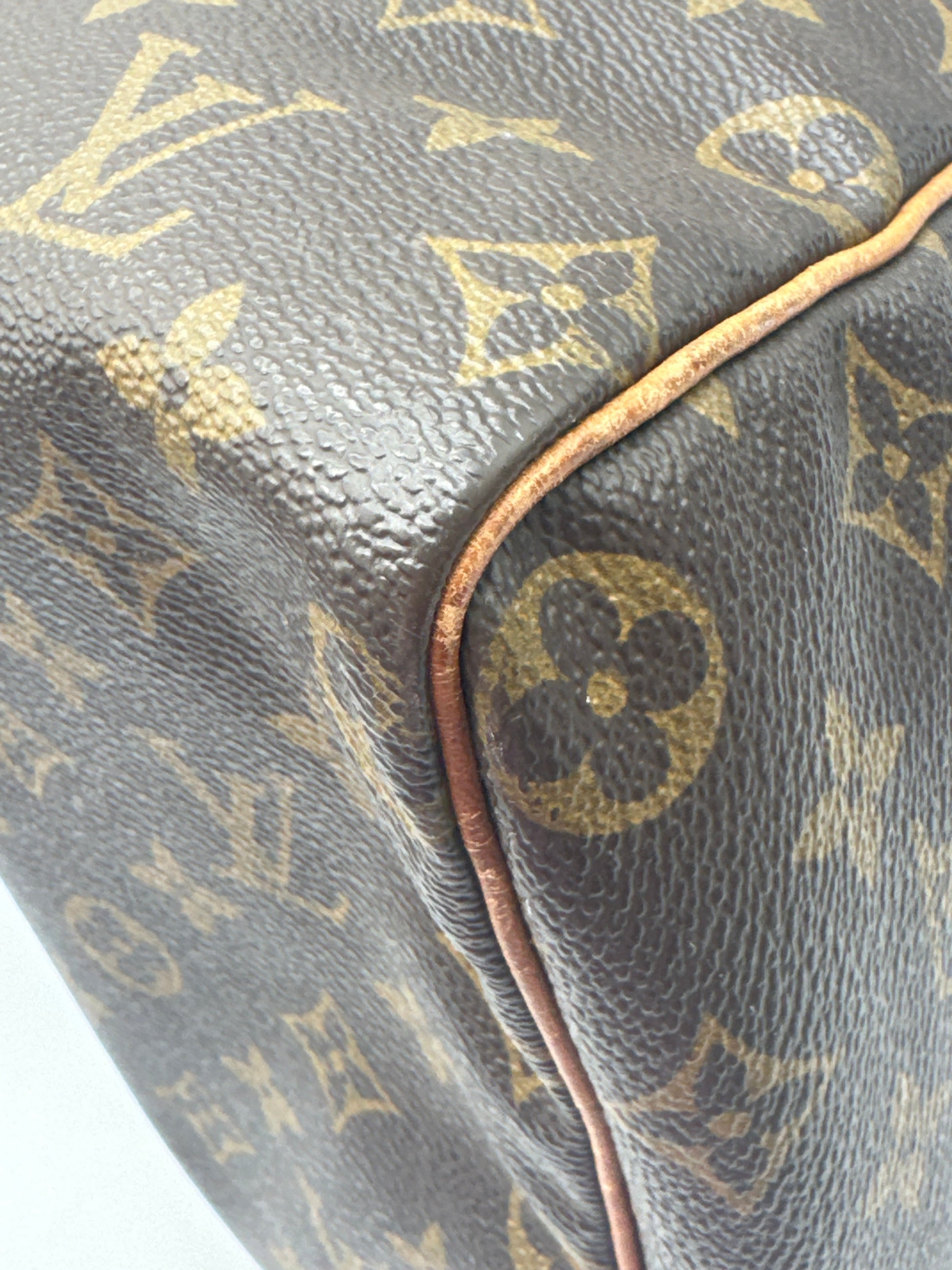 HandBag Luxury Designer Louis Vuitton, Size Large