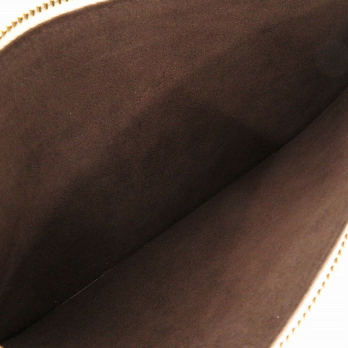 LOUIS VUITTON Neverfull pouch Clutch Bag