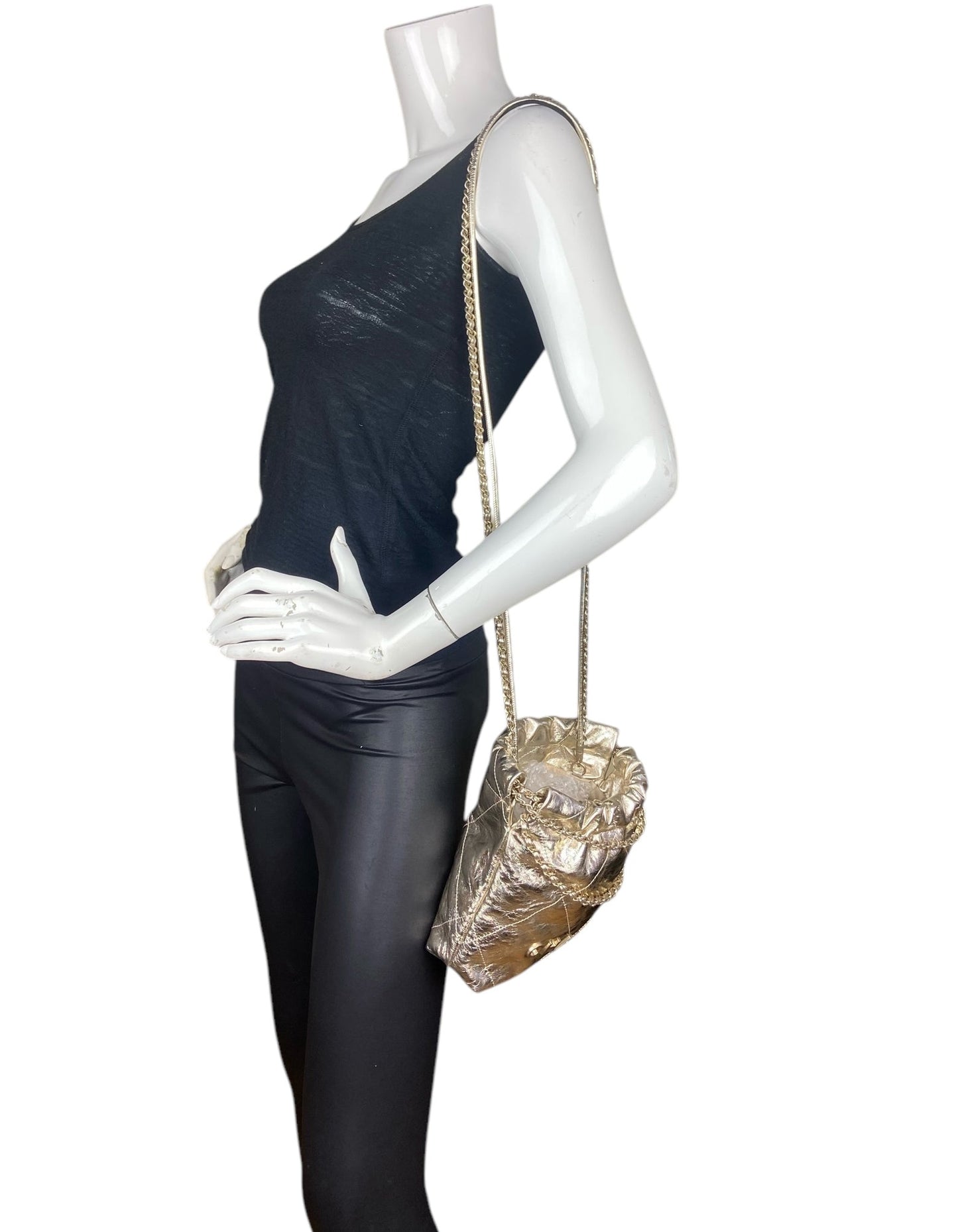 Chanel 2025 Metallic Calfskin Quilted Mini Chanel 22 Bag