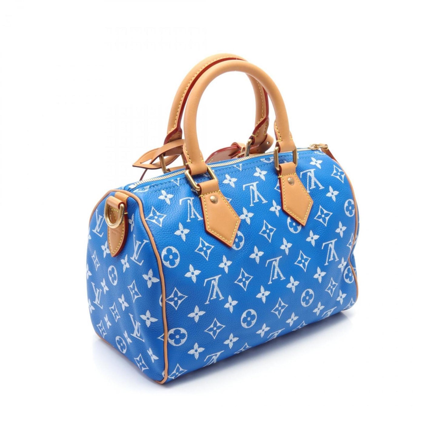 LOUIS VUITTON bandouliere 25 Handbag