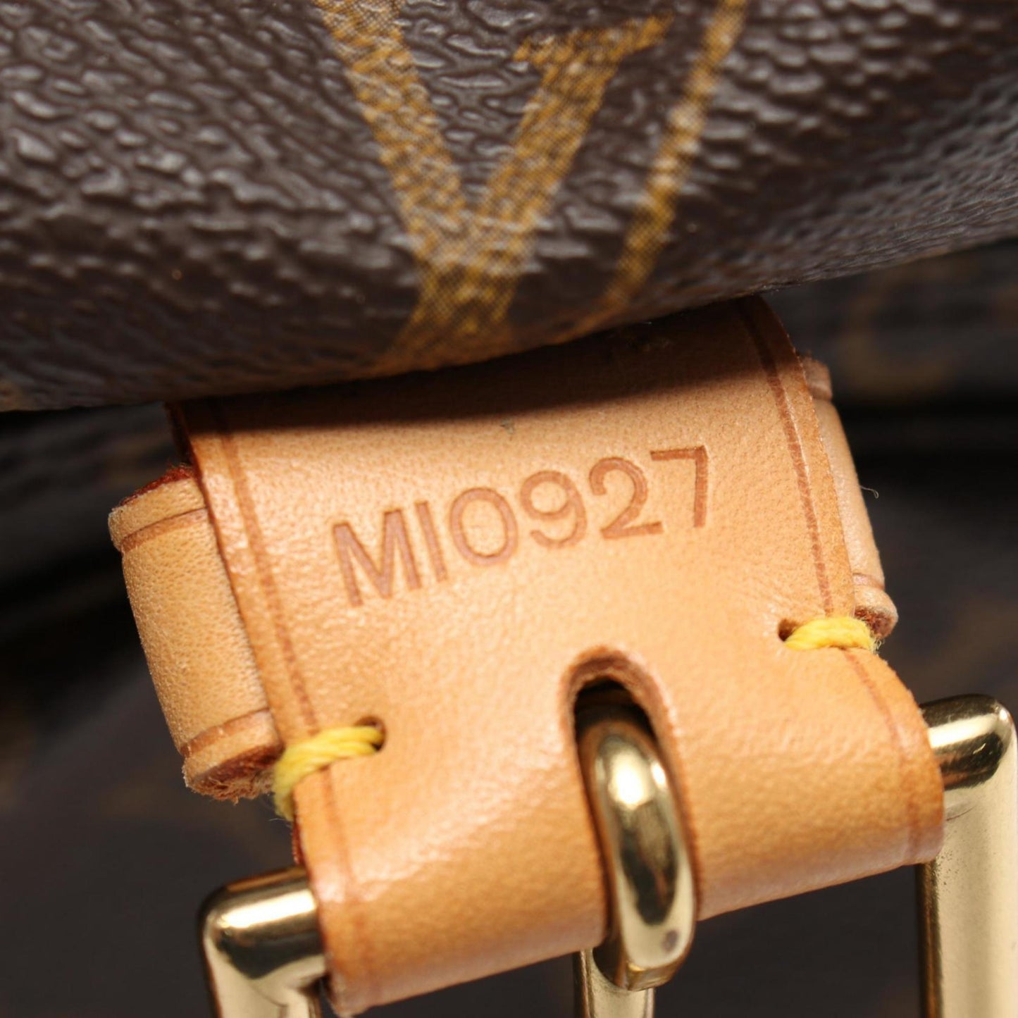 LOUIS VUITTON Montsouris Backpack