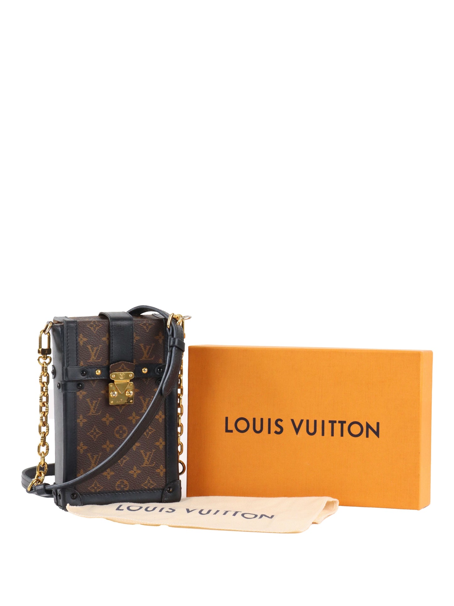 Louis Vuitton monogram Vertical Trunk Pochette