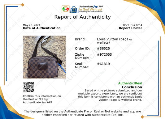 HandBag Luxury Designer By Louis Vuitton Size: Medium