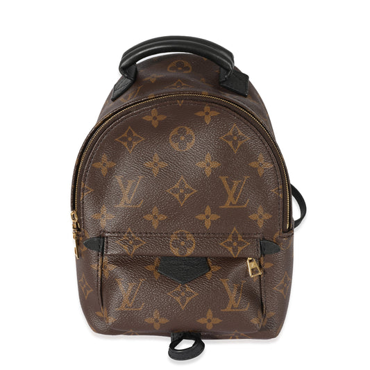 Louis Vuitton Monogram Canvas Palm Springs Mini Backpack