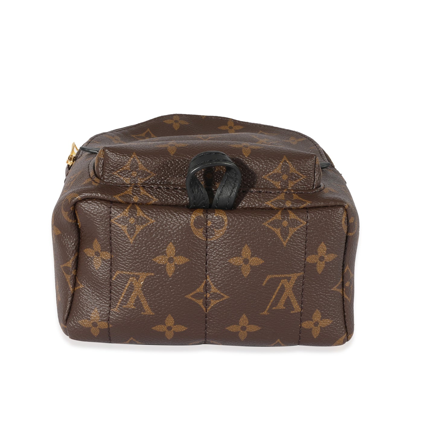 Louis Vuitton Monogram Canvas Palm Springs Mini Backpack