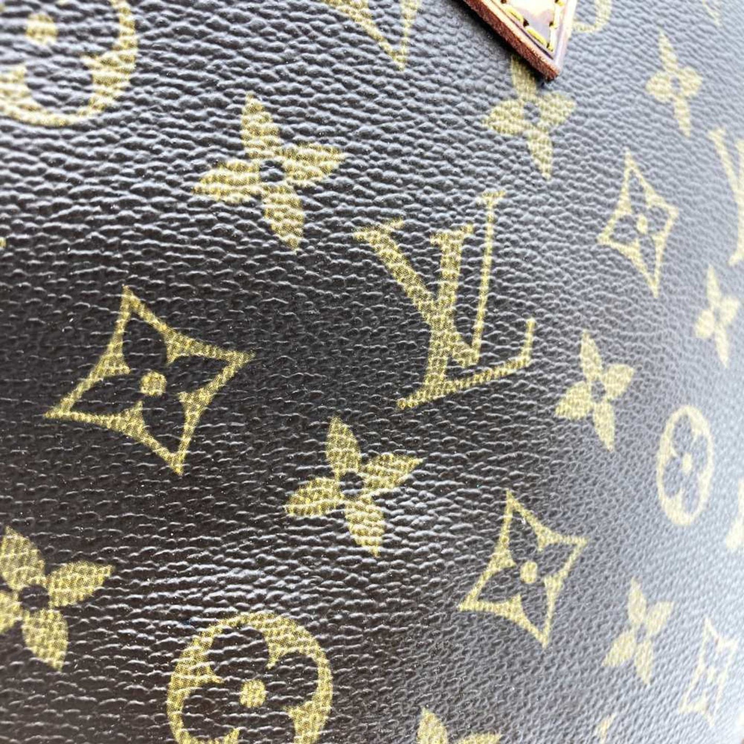 Louis Vuitton Monogram Canvas Handbag