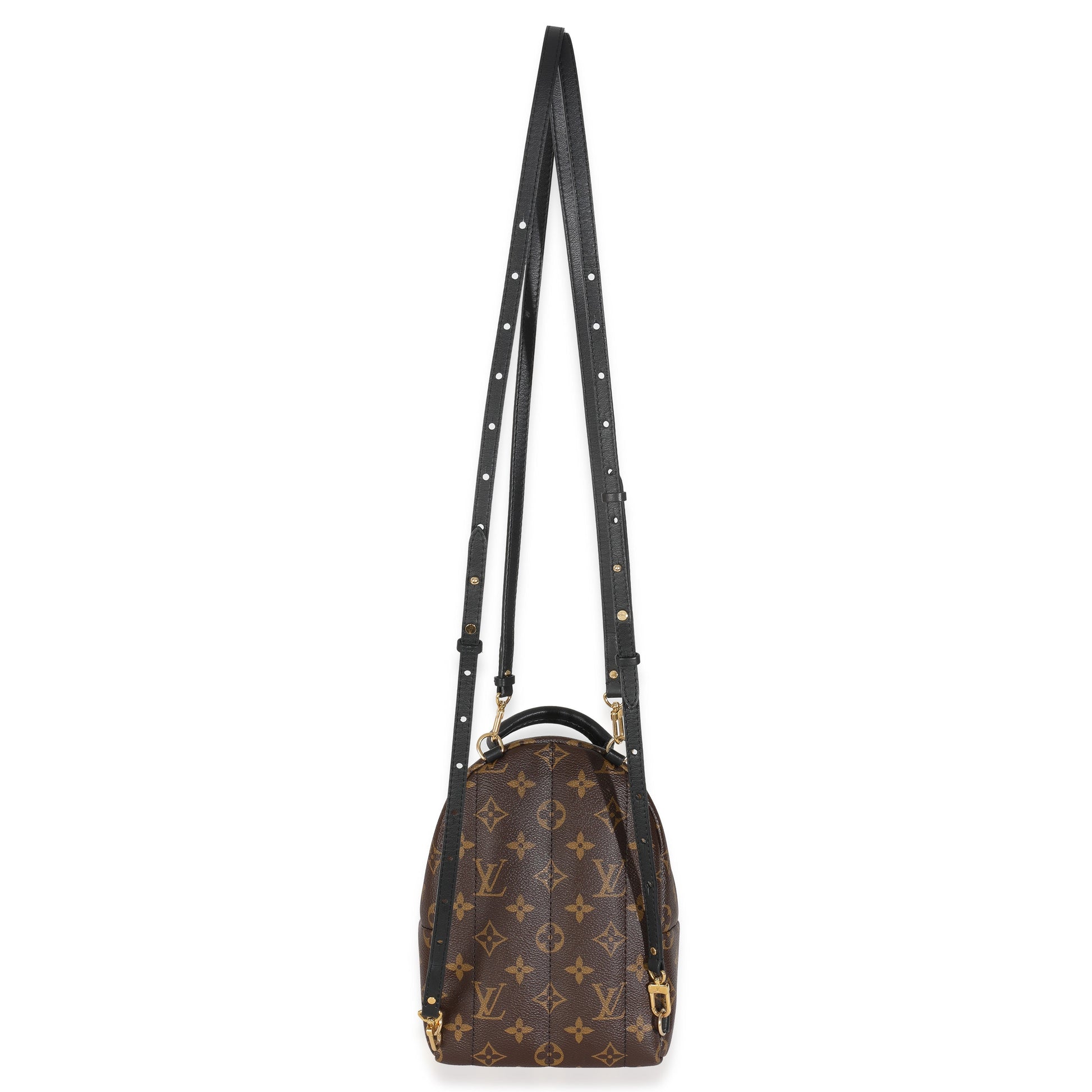 Louis Vuitton Monogram Canvas Mini Palm Springs Backpack