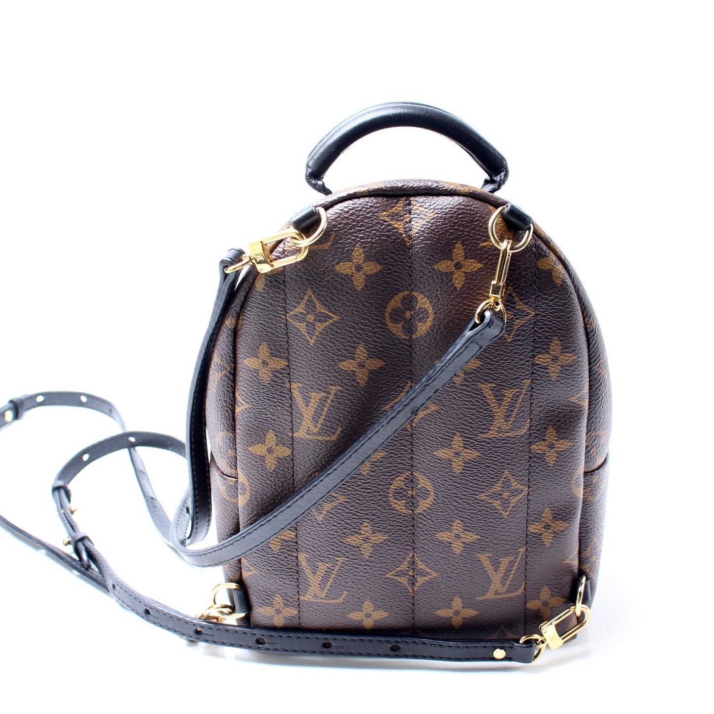 Louis Vuitton Palm Springs Mini Backpack Monogram