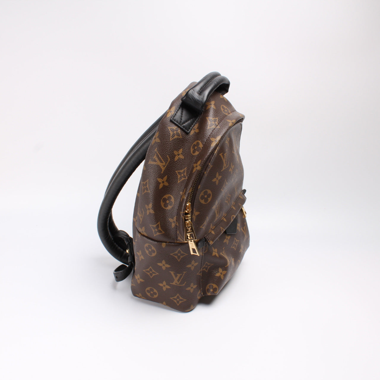 Louis Vuitton Palm Springs Backpack PM Monogram