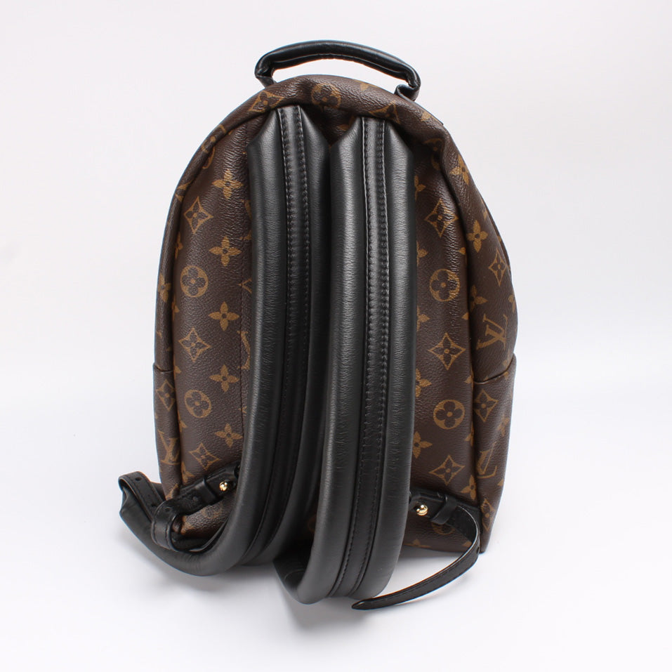 Louis Vuitton Palm Springs Backpack PM Monogram