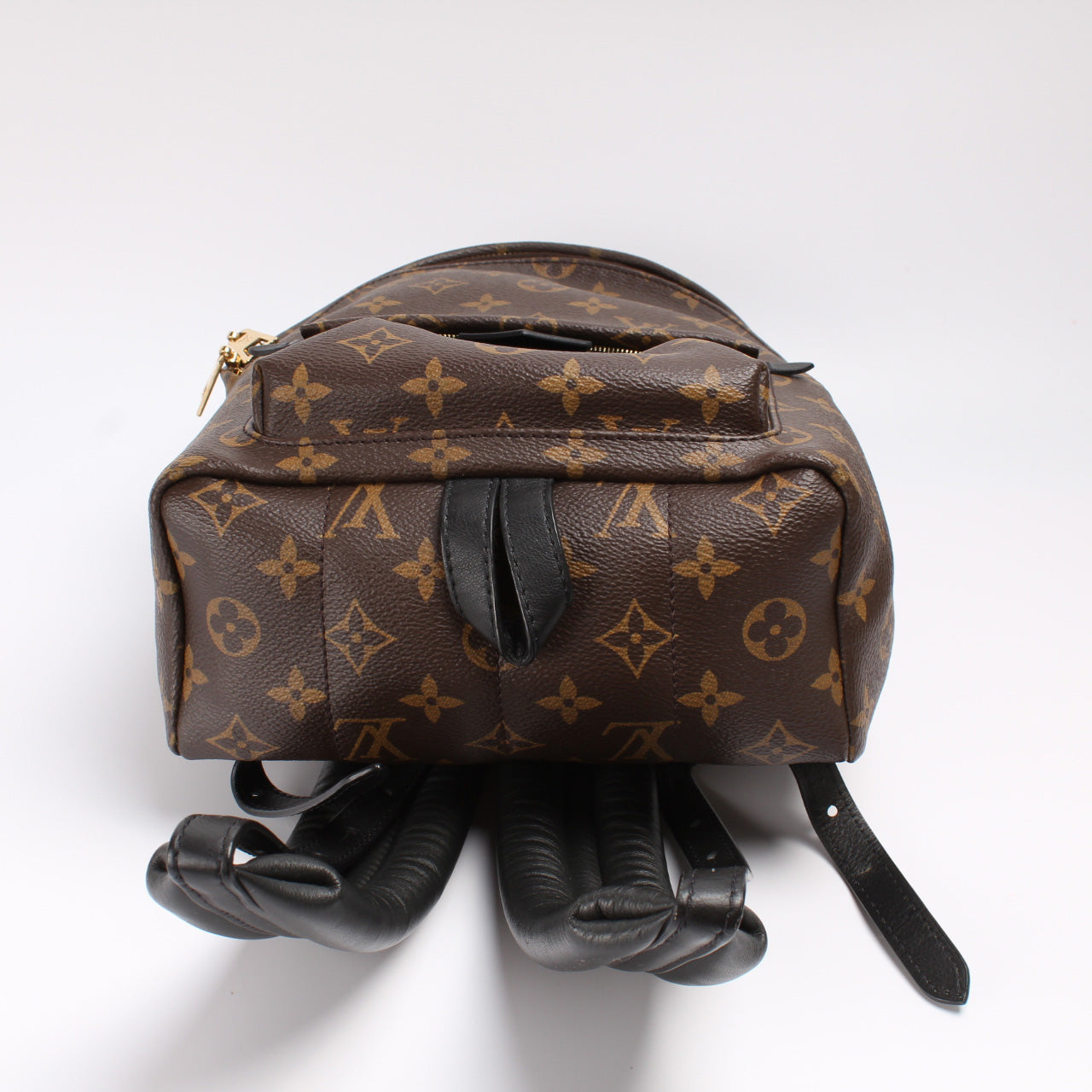 Louis Vuitton Palm Springs Backpack PM Monogram