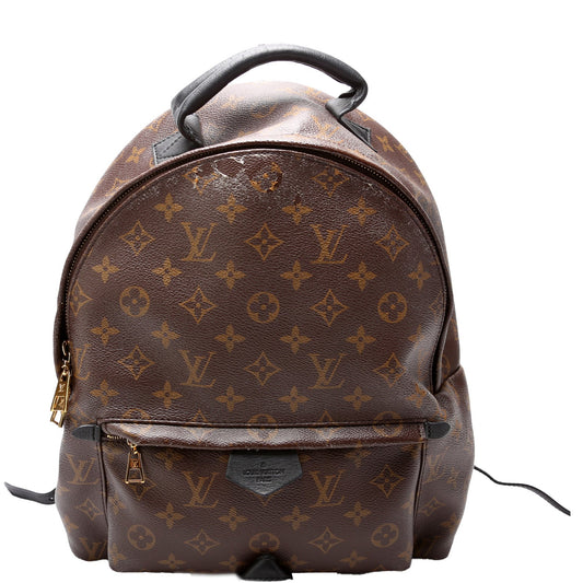 Louis Vuitton Palm Springs Backpack MM Monogram