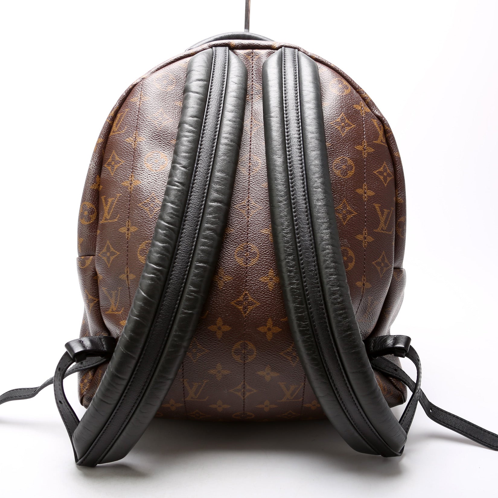 Louis Vuitton Palm Springs Backpack MM Monogram