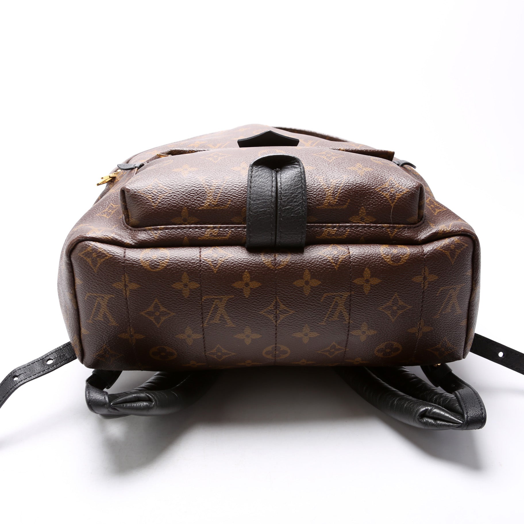 Louis Vuitton Palm Springs Backpack MM Monogram