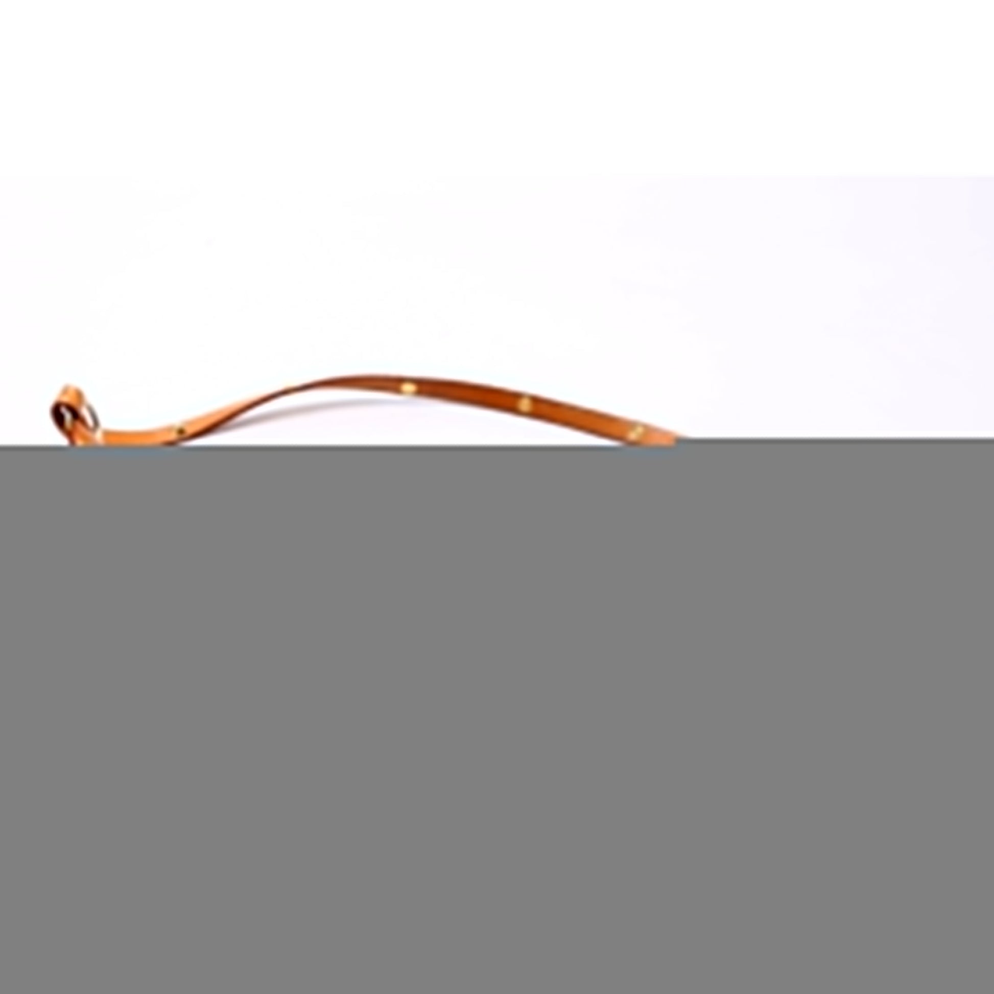 Louis Vuitton Pochette Accessoires Multicolor Monogram