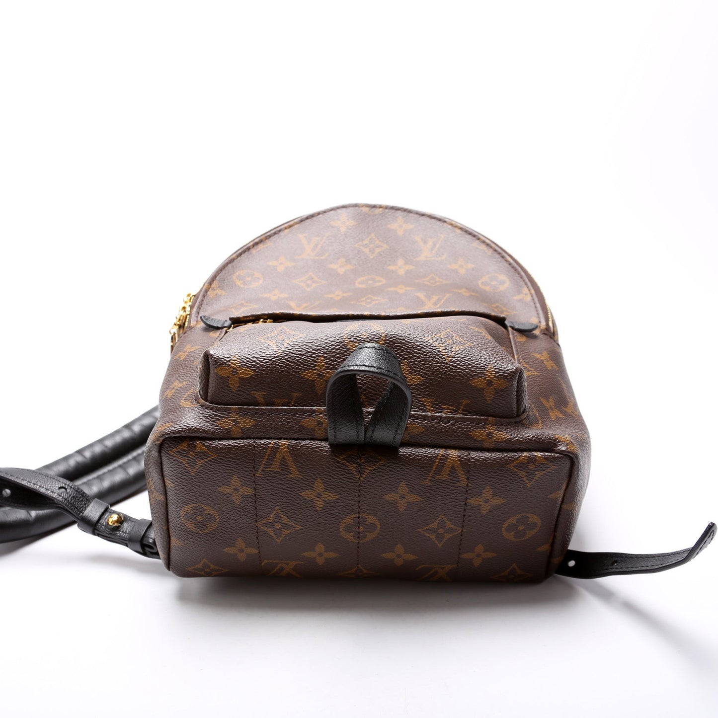 Louis Vuitton Palm Springs Backpack PM NM