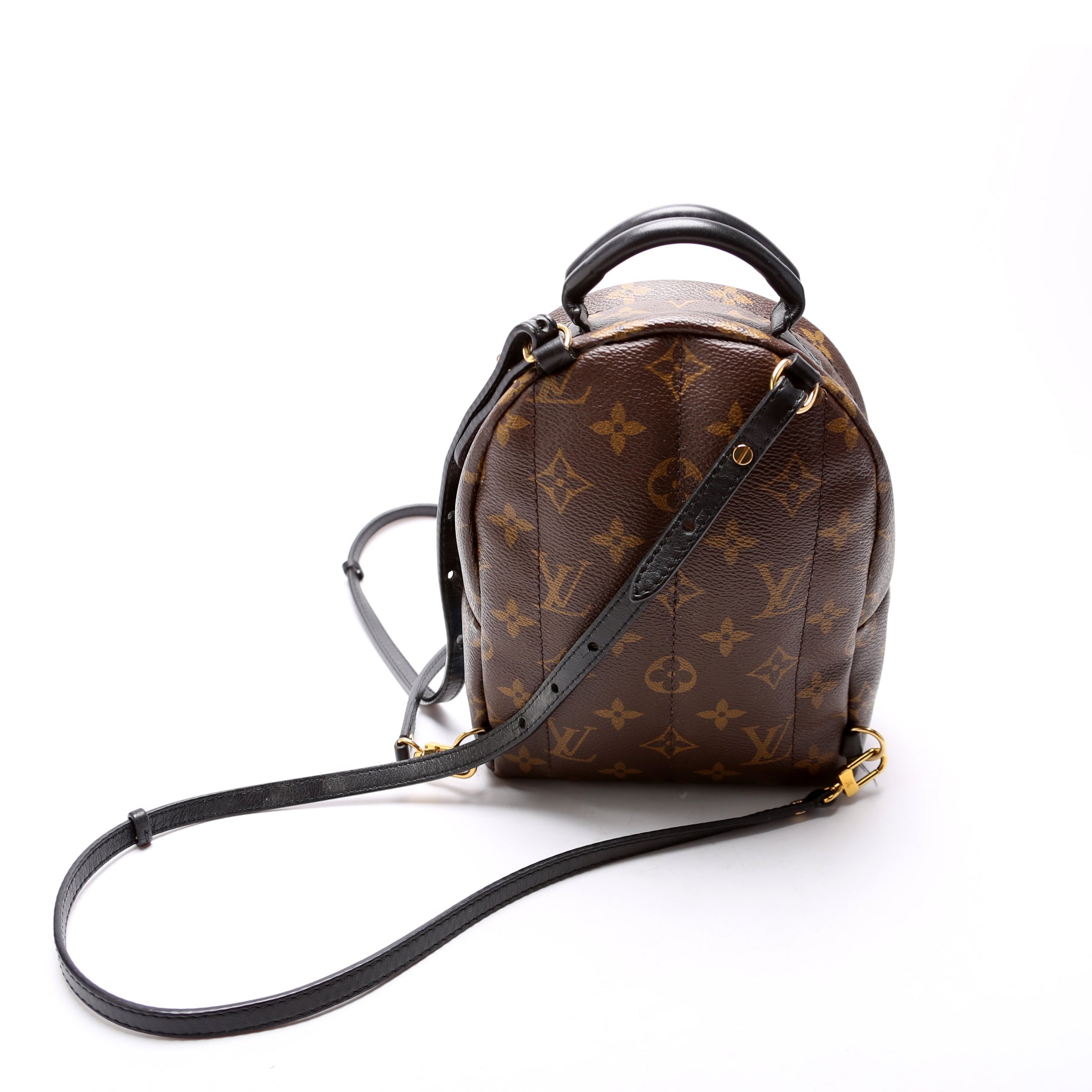 Louis Vuitton Palm Springs Mini Backpack World Tour Monogram