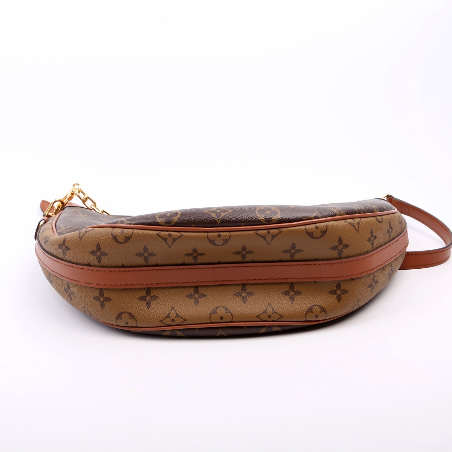 Louis Vuitton Loop Hobo Reverse Monogram