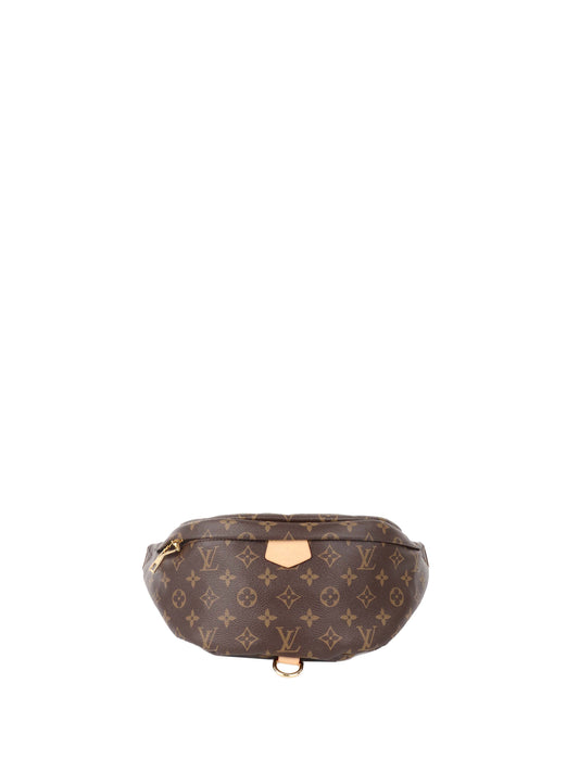 Louis Vuitton Monogram BumBag