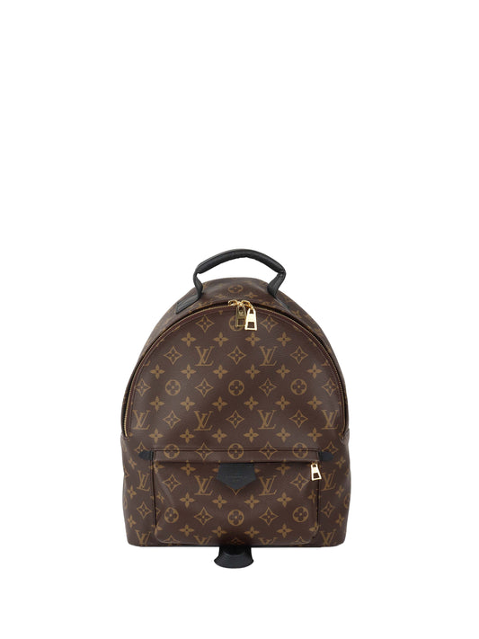 Louis Vuitton Palm Spring MM Backpack