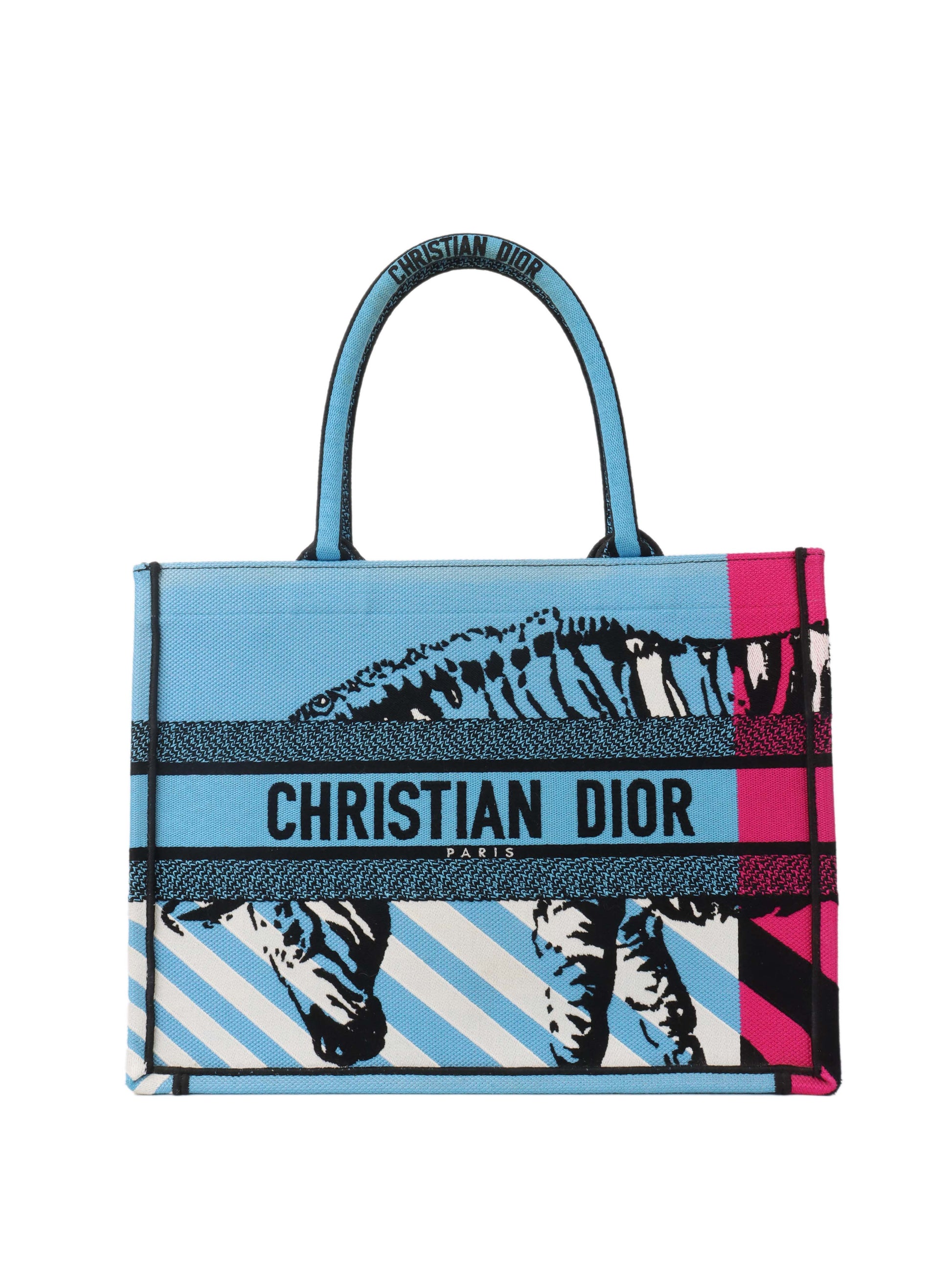 Dior Small Book Tote Blue.