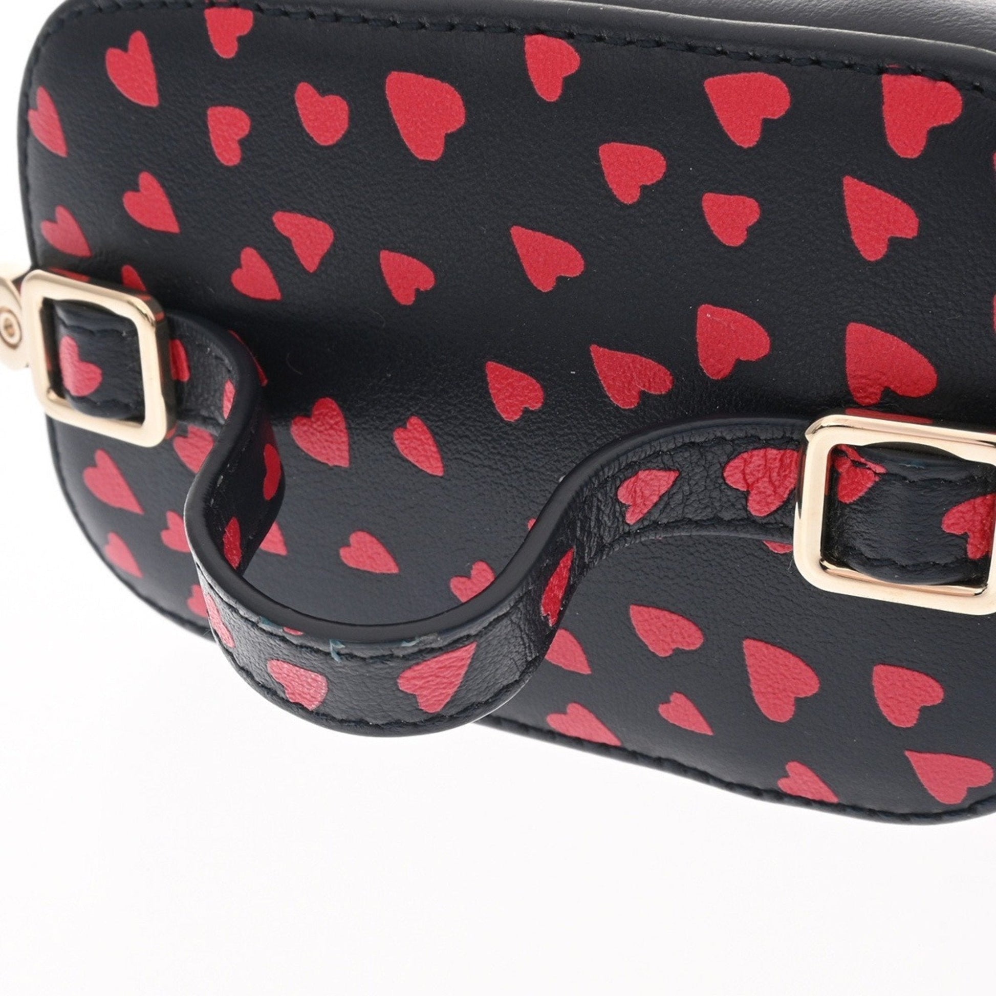 Christian Dior Black Red Color Leather Vanity Bag  
