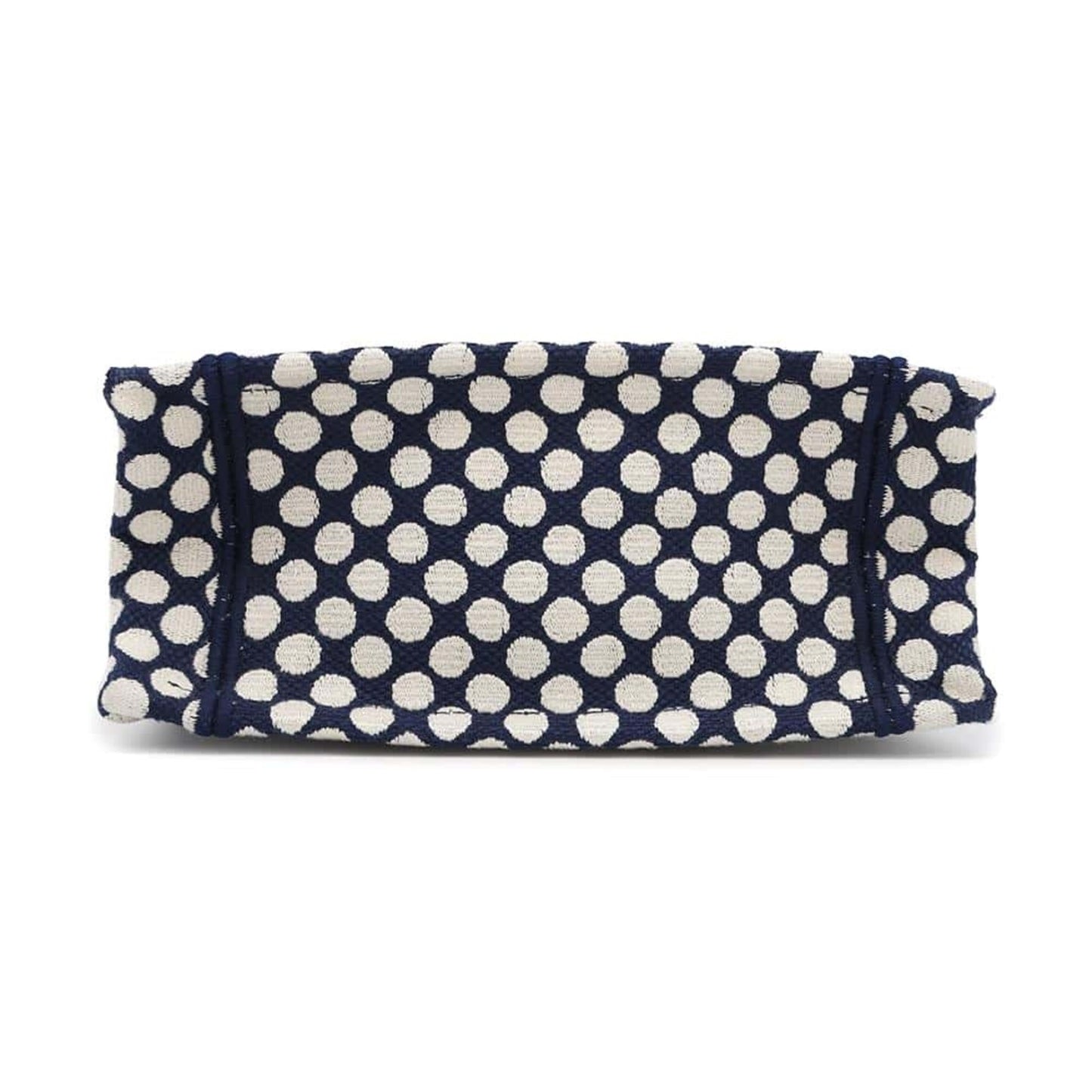 Christian Dior Navy White Canvas Handbag  
