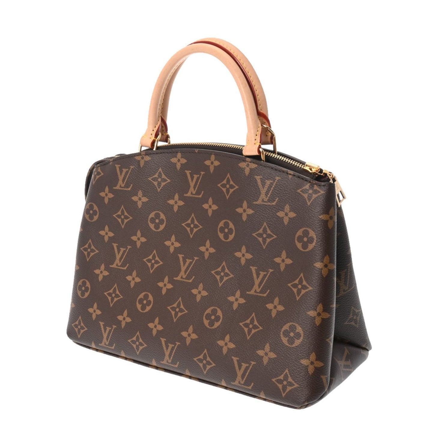 LOUIS VUITTON Men,Women Handbag Brown