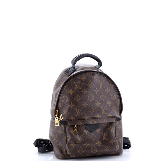 Louis Vuitton Palm Springs Backpack Monogram Canvas PM