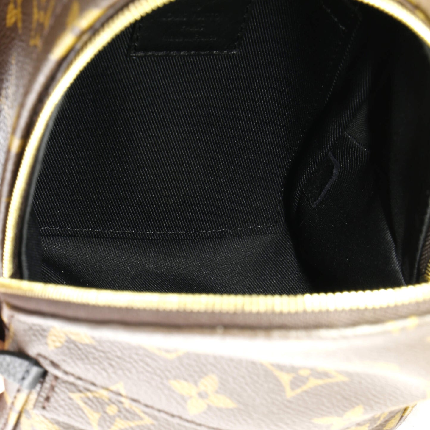 Louis Vuitton Palm Springs Backpack Monogram Canvas Mini
