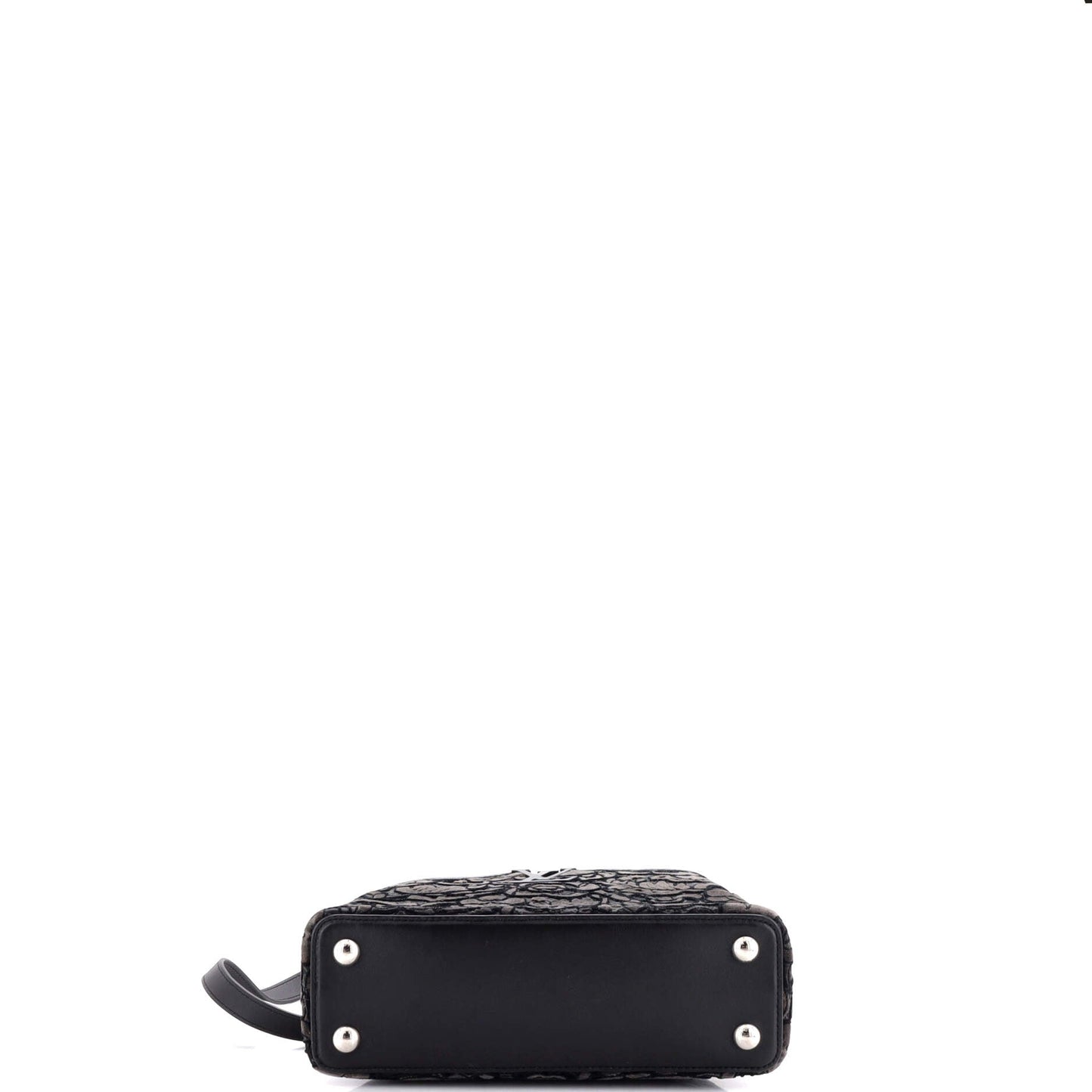 Louis Vuitton Capucines Bag Embroidered Velvet BB