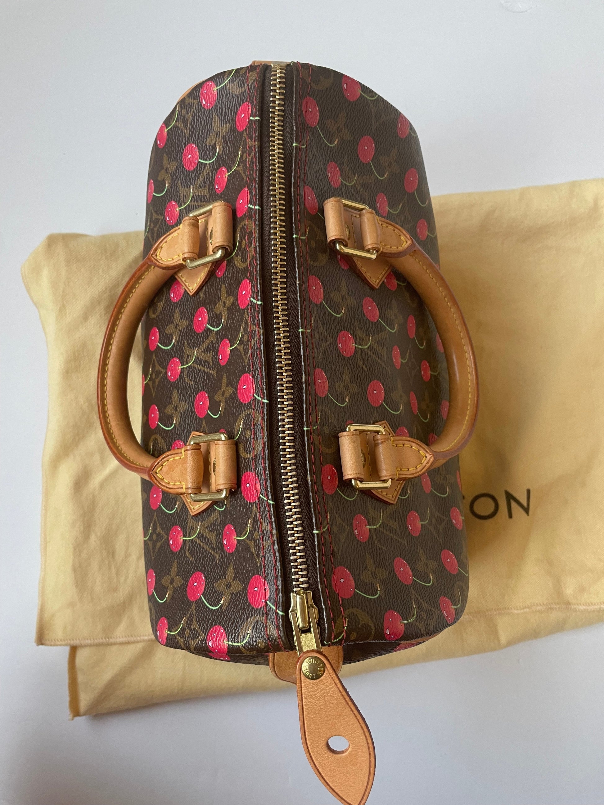 HandBag Luxury Designer Louis Vuitton, Size Small