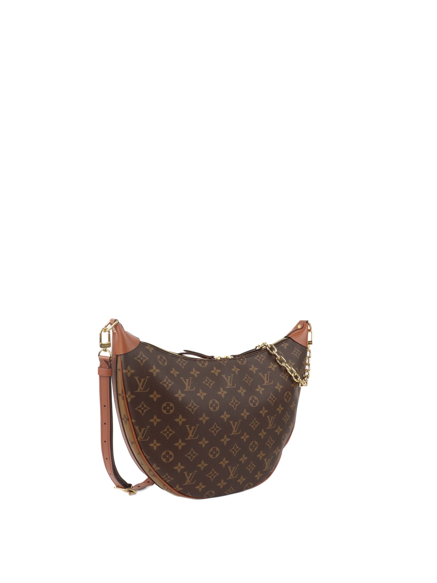 Louis Vuitton Monogram Loop Hobo Bag